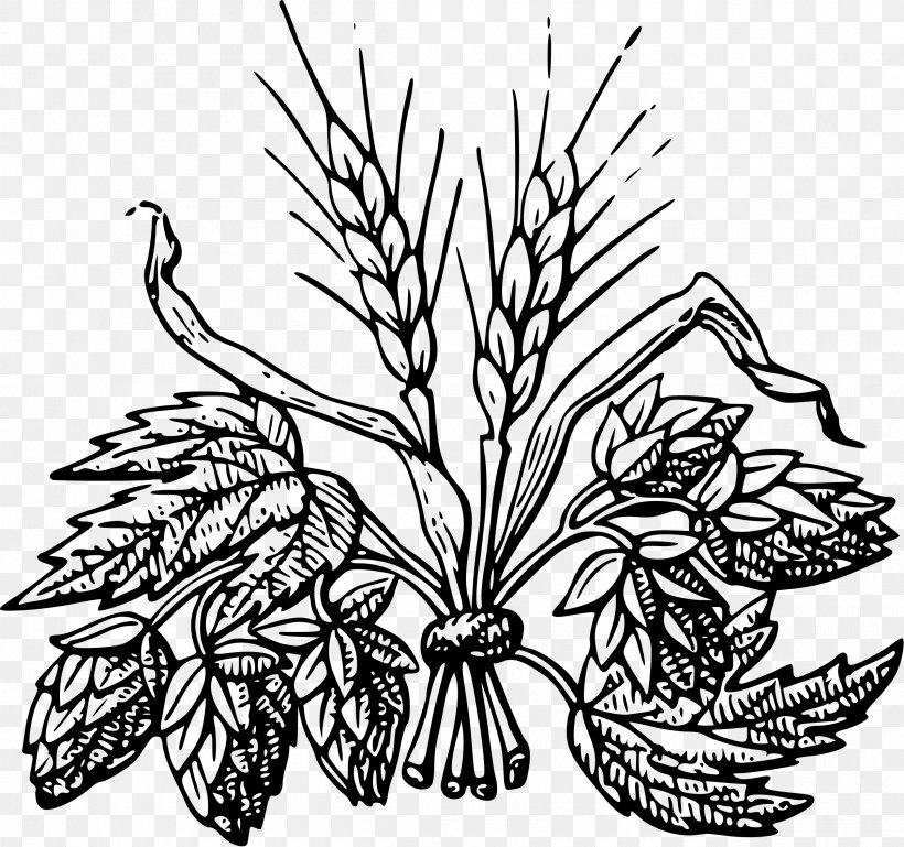 Beer Hops Drawing Barley Clip Art, PNG, 2400x2251px, Beer, Art, Artwork, Barley, Black And White Download Free