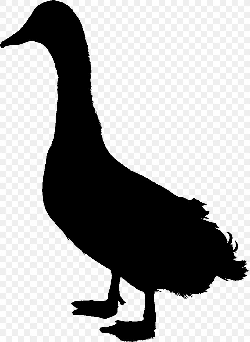 Duck Goose Clip Art Fowl Feather, PNG, 1070x1463px, Duck, American Black Duck, Beak, Bird, Blackandwhite Download Free