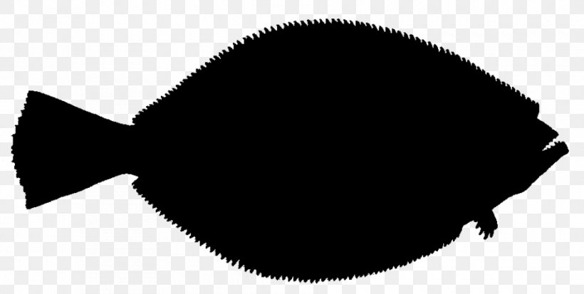 Flatfish Illustration Vector Graphics Drawing, PNG, 940x474px, Flatfish, Bonyfish, Cartoon, Drawing, European Flounder Download Free