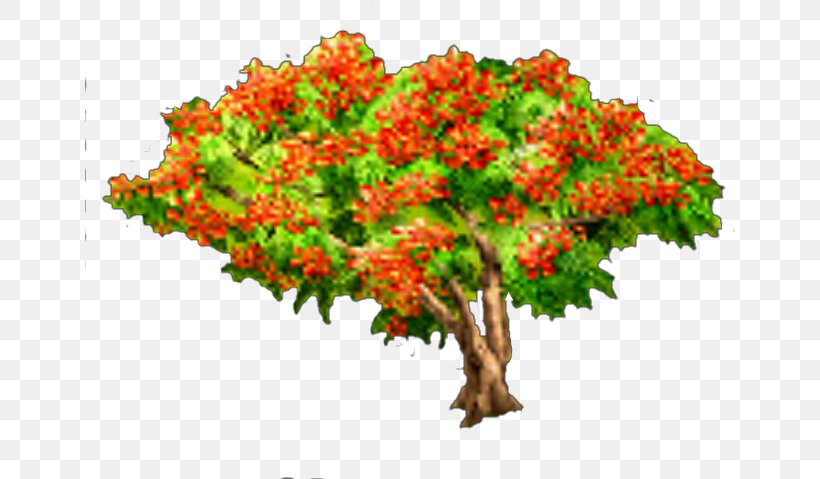 Flowers Background, PNG, 651x479px, Royal Poinciana, Bougainvillea, Branch, Cartoon, Cut Flowers Download Free