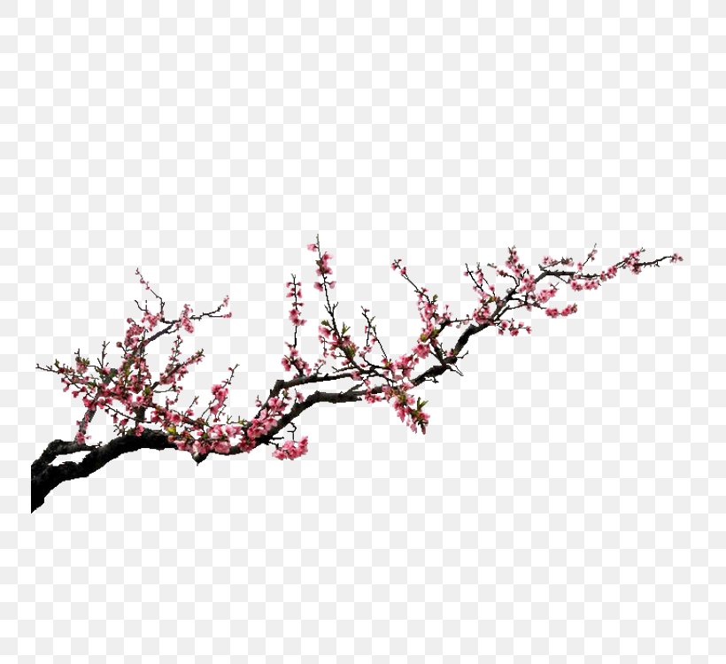 Ink Plum Blossom Download Clip Art, PNG, 750x750px, Ink, Blossom, Branch, Cherry Blossom, Chinese Painting Download Free
