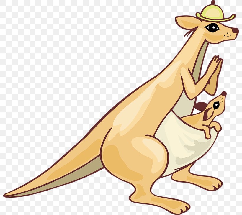 Kangaroo Vecteur, PNG, 800x729px, Kangaroo, Animal Figure, Art, Carnivoran, Cartoon Download Free