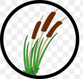 Marsh Clip Art, PNG, 2400x2400px, Marsh, Artwork, Cattail, Flower, Free ...