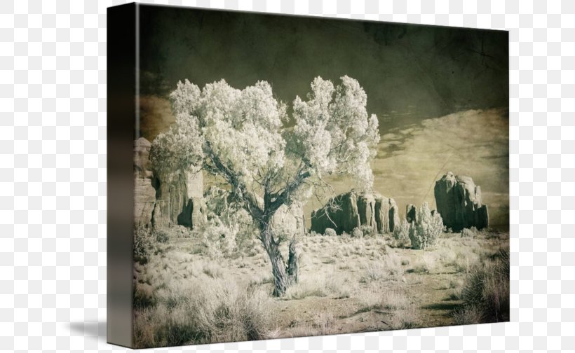 Painting Picture Frames Tree Winter, PNG, 650x504px, Painting, Flora, Flower, Landscape, Picture Frame Download Free