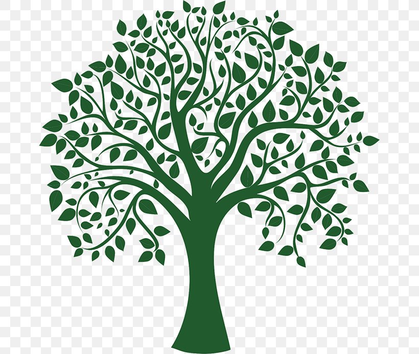 Tree Drawing Clip Art, PNG, 667x693px, Tree, Art, Book, Branch, Drawing Download Free