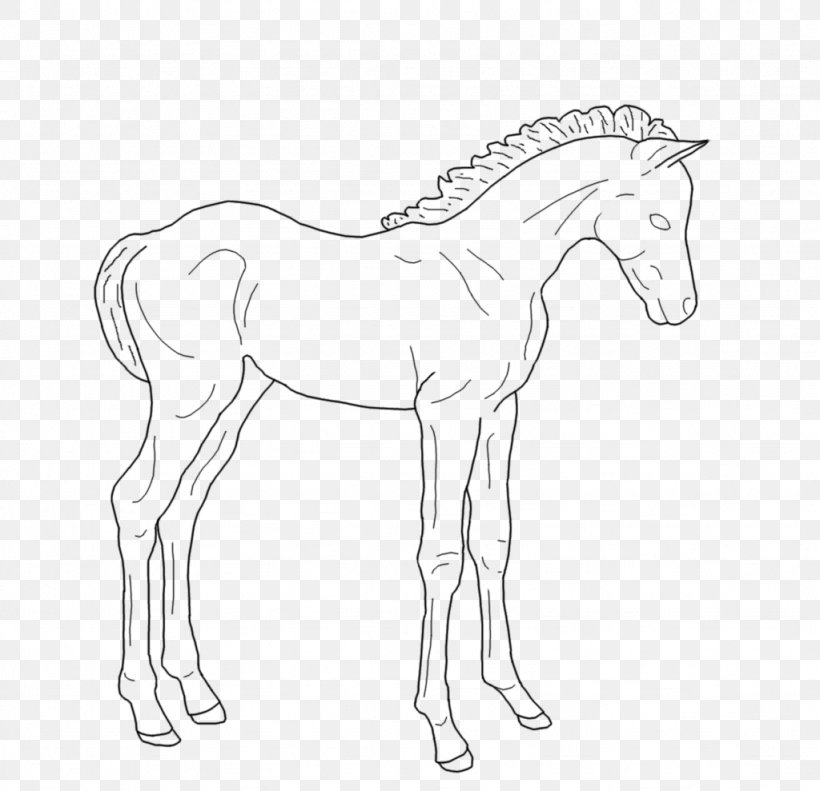 Foal Pony Line Art Colt, PNG, 1024x989px, Foal, Animal Figure, Arm, Art, Artist Download Free