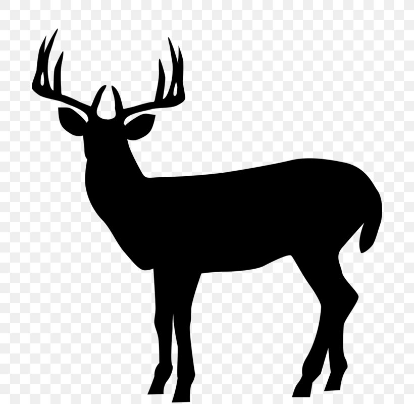 Silhouette Roe Deer Clip Art Illustration Elk, PNG, 800x800px, Silhouette, Antelope, Antler, Deer, Elk Download Free