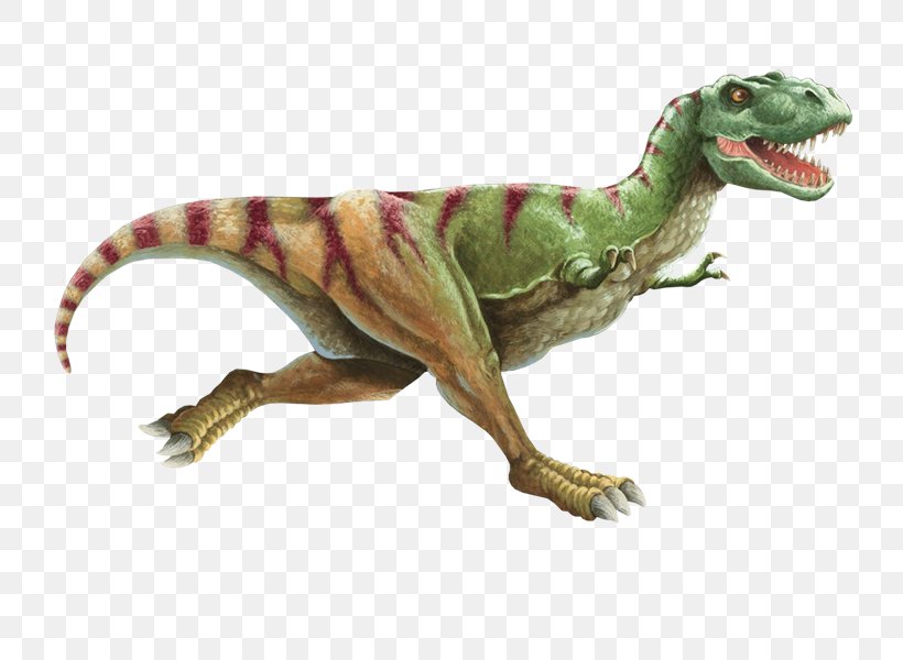 The Dinosaurs Tyrannosaurus Eating Food, PNG, 800x600px, Dinosaur, Animal Figure, Apatosaurus, Dinosaurs, Eating Download Free