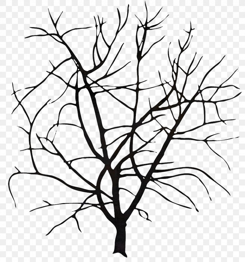 Wall Decal Tree Sticker Photography Monochrome, PNG, 858x917px, Wall Decal, Artwork, Black And White, Branch, Decal Download Free