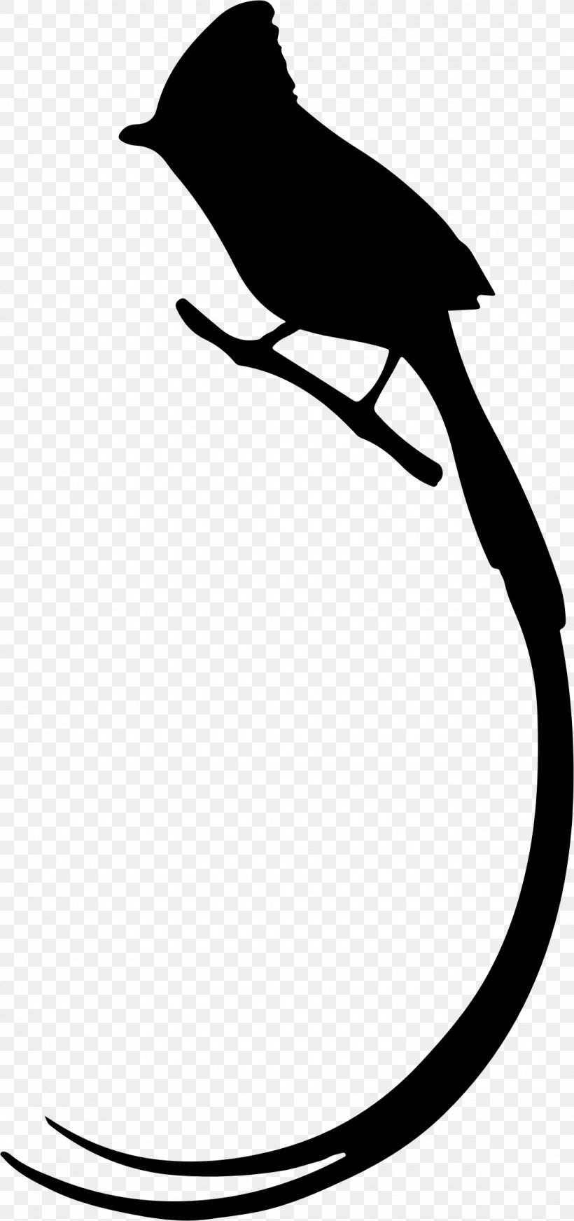 Bird Long Tail Silhouette Owl Clip Art, PNG, 1080x2296px, Bird, Artwork, Beak, Bird Of Prey, Black Download Free