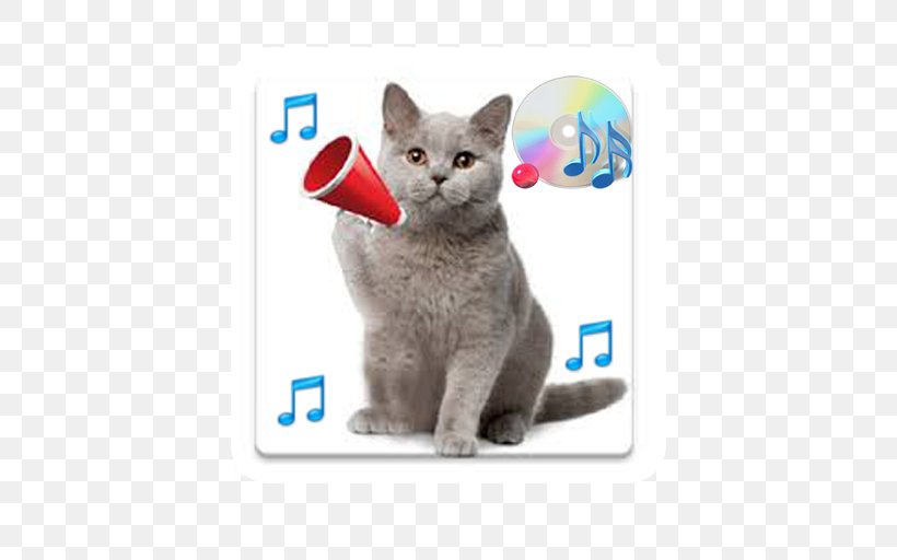 Kitten Russian Blue Cat Sounds British Shorthair, PNG, 512x512px, Kitten, Android, British Shorthair, Carnivoran, Cat Download Free