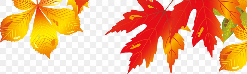 Maple Leaf Autumn, PNG, 940x285px, Maple Leaf, Autumn, Leaf, Maple, Orange Download Free