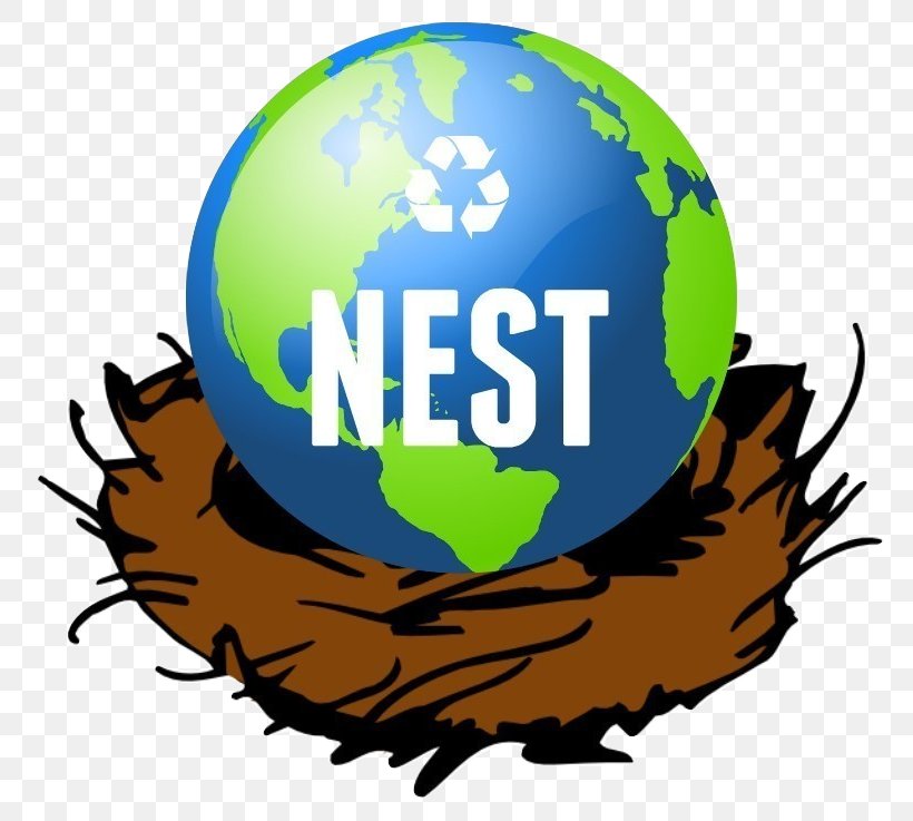Bird Nest Clip Art, PNG, 784x737px, Bird, Art, Bird Nest, Brand, Drawing Download Free