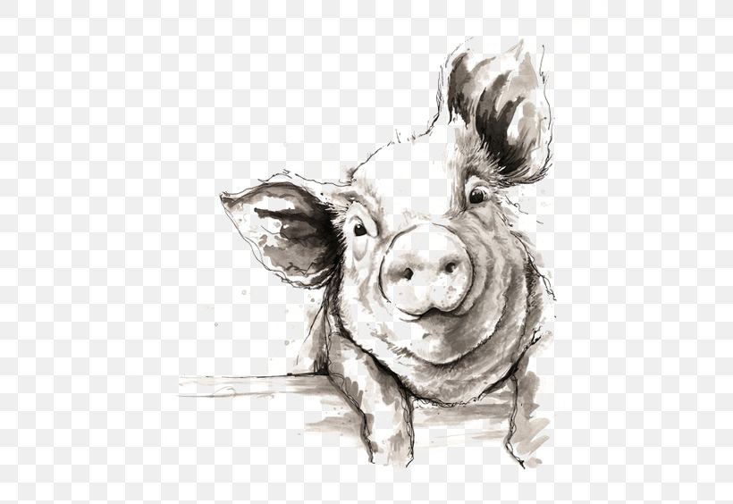 Domestic Pig Drawing Watercolor Painting Illustration, PNG, 564x564px, Domestic Pig, Art, Black And White, Drawing, Farm Download Free