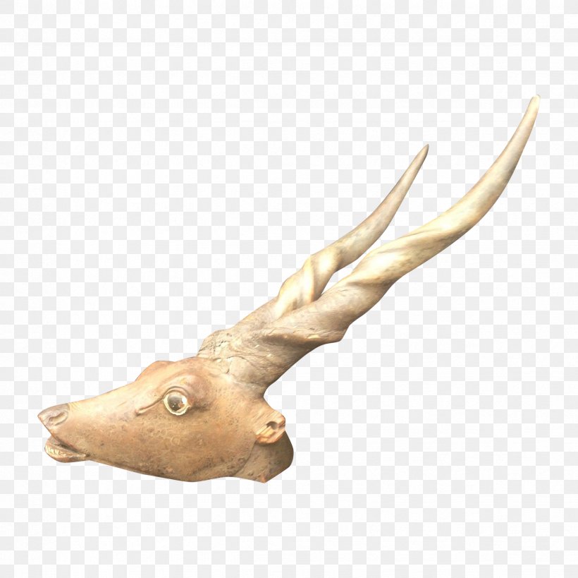 Fauna, PNG, 2448x2448px, Fauna, Antler, Horn Download Free