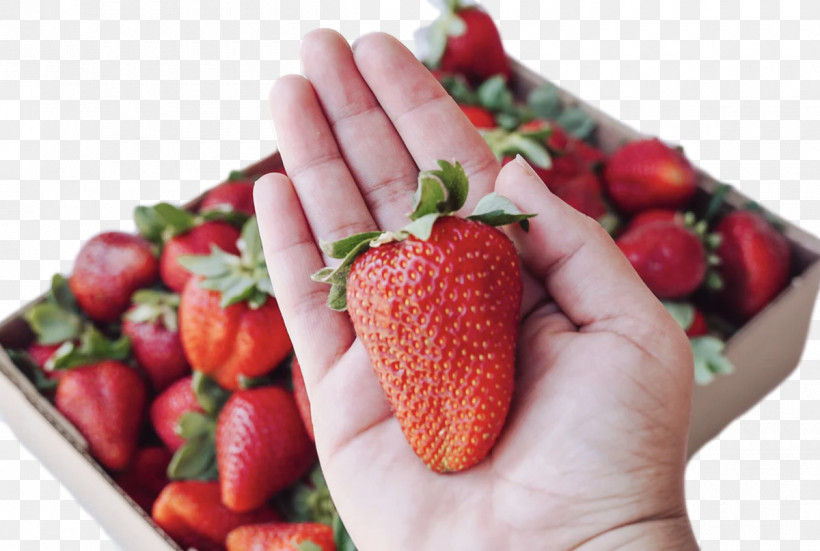 Strawberry, PNG, 1200x807px, Strawberry, Berry, Fruit, Local Food, Natural Food Download Free