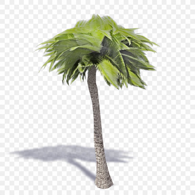 Asian Palmyra Palm Flowerpot IKEA FAMILY Artificial Flower, PNG, 1000x1000px, Asian Palmyra Palm, Arecales, Artificial Flower, Autodesk Revit, Blume Download Free