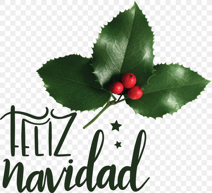 Feliz Navidad Merry Christmas, PNG, 3000x2734px, Feliz Navidad, Christmas Day, Christmas Decoration, Christmas Elf, Christmas Lights Download Free