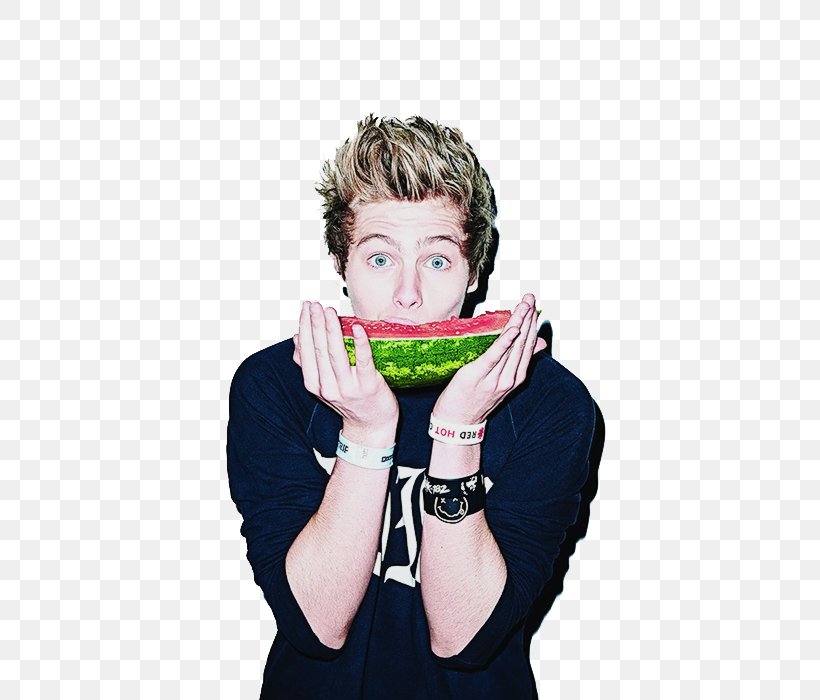 Luke Hemmings 5 Seconds Of Summer Sounds Live Feels Live World Tour Watermelon, PNG, 500x700px, Watercolor, Cartoon, Flower, Frame, Heart Download Free