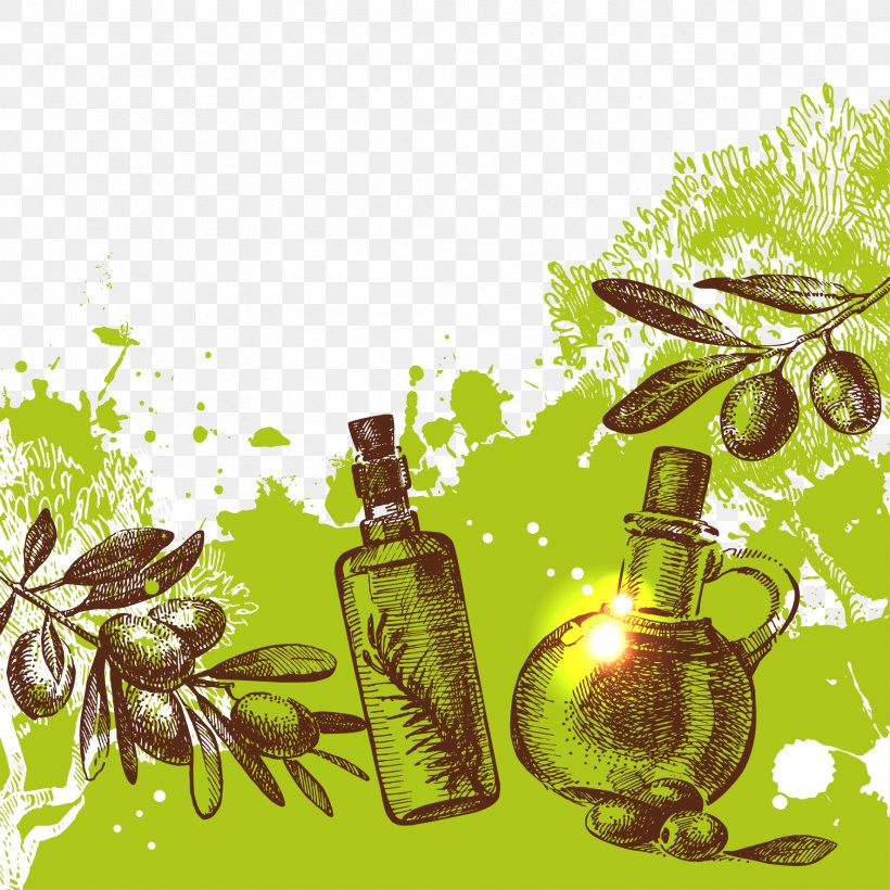 Olive Euclidean Vector Illustration, PNG, 1772x1772px, Olive, Drawing, Flowering Plant, Glass Bottle, Herb Download Free