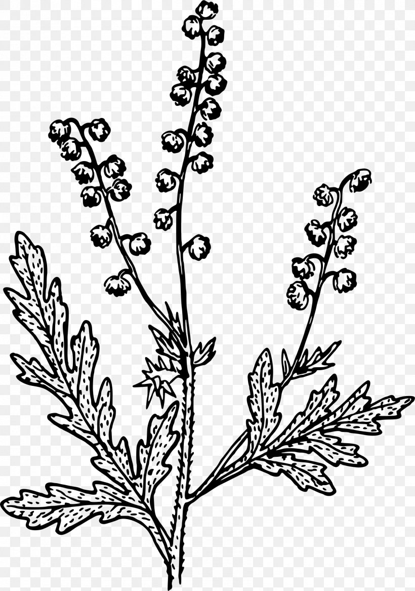 Nordens Flora Clip Art, PNG, 1685x2400px, Nordens Flora, Black And White, Branch, Carl Axel Magnus Lindman, Drawing Download Free