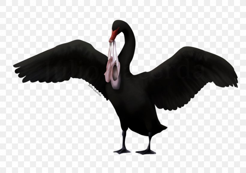 Cygnini Animation Goose, PNG, 900x636px, Cygnini, Animation, Ballet, Beak, Bird Download Free