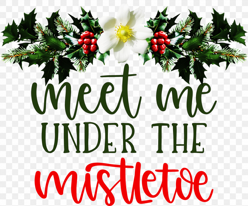 Meet Me Under The Mistletoe Mistletoe, PNG, 3000x2498px, Mistletoe, Christmas Day, Christmas Ornament, Christmas Ornament M, Christmas Tree Download Free