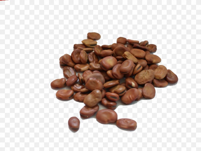 Cocoa Bean Chocolate-coated Peanut Legumes Jamaican Blue Mountain Coffee, PNG, 1024x768px, Cocoa Bean, Bean, Broad Bean, Carbohydrate, Chocolate Download Free