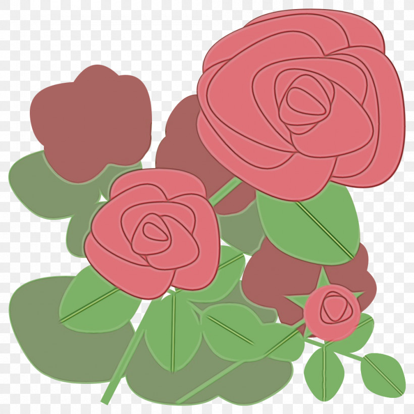 Garden Roses, PNG, 1000x1000px, Watercolor, Cabbage Rose, Cut Flowers, Floral Design, Flower Download Free