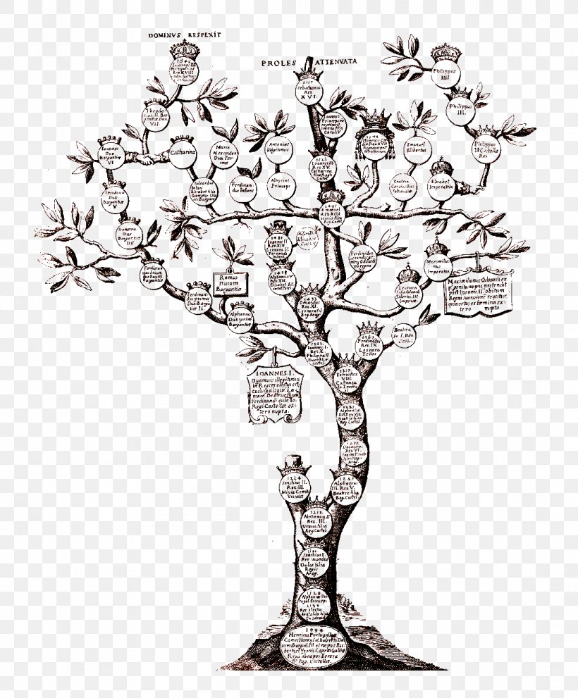 Genealogy Family Tree Individual Chronology, PNG, 1094x1323px, Genealogy, Black And White, Branch, Candle, Candle Holder Download Free