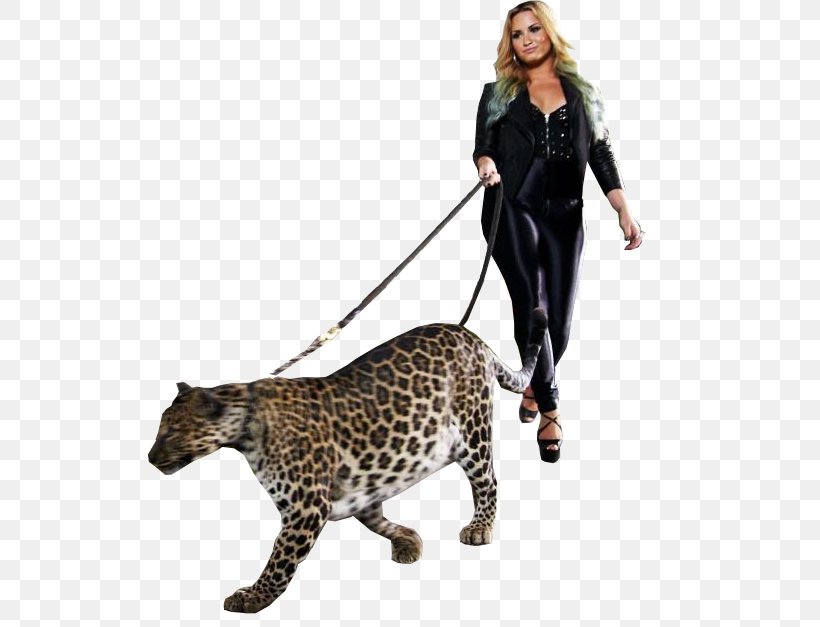 Leopard Jaguar Clip Art, PNG, 525x627px, Leopard, Art, Big Cats, Cat Like Mammal, Cheetah Download Free