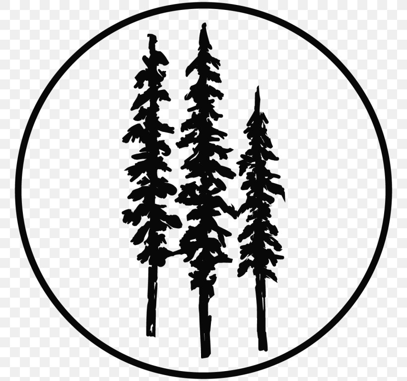 Spruce Redwood National And State Parks Coast Redwood Drawing Tree, PNG, 768x768px, Spruce, Black And White, Branch, Coast Redwood, Conifer Download Free