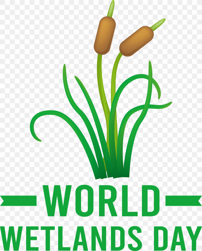 World Wetlands Day, PNG, 5480x6835px, World Wetlands Day Download Free