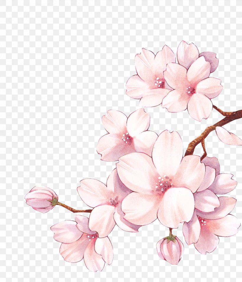 YouTube Food Blogging Time Tagged Snapchat, PNG, 1419x1652px, Youtube, Blossom, Branch, Cherry Blossom, Cut Flowers Download Free