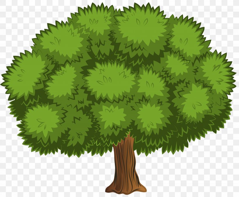 Tree Shrub Clip Art, PNG, 8000x6612px, Tree, Animation, Arecaceae, Grass, Green Download Free