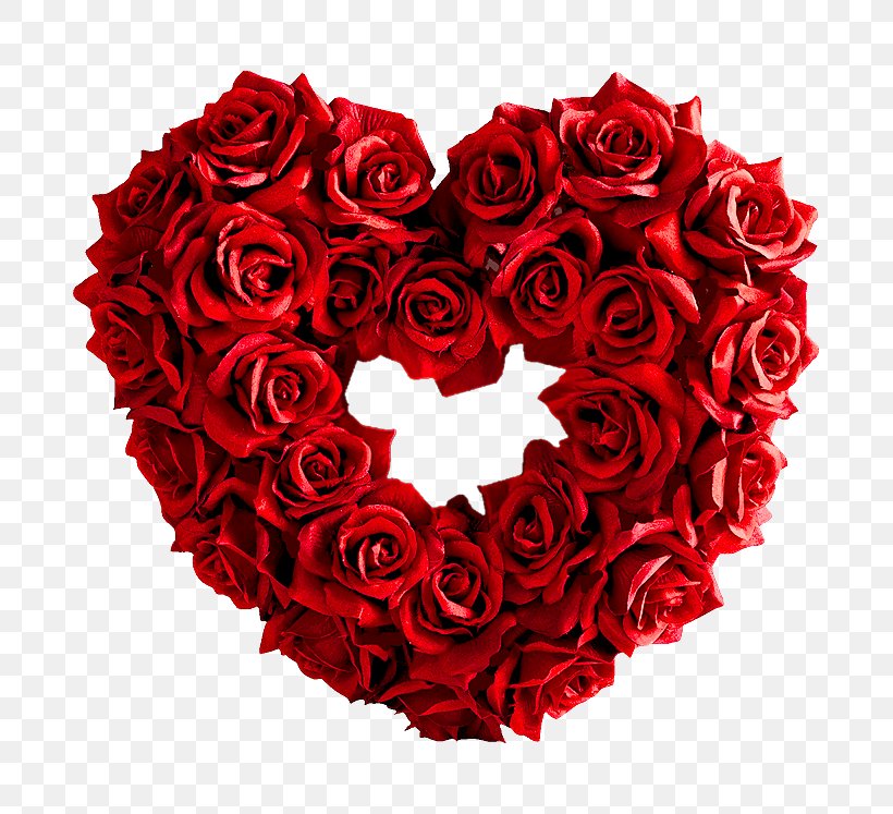 Garden Roses Heart Red Valentines Day, PNG, 700x747px, Garden Roses ...