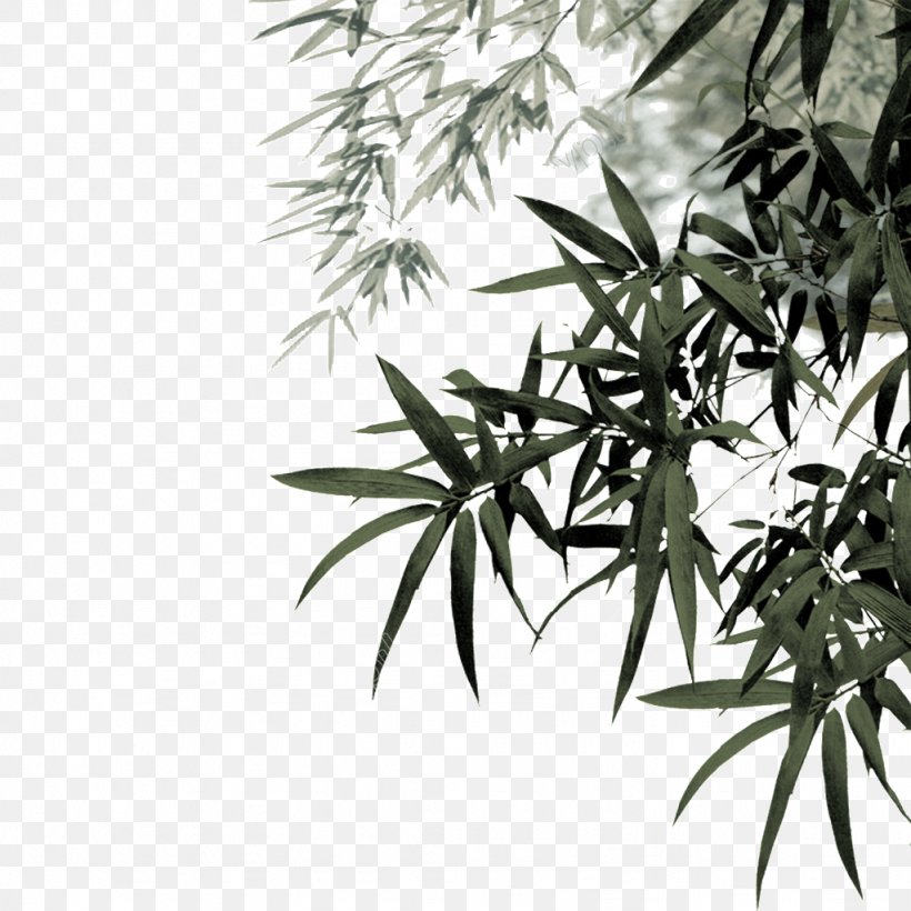 Bamboo Clip Art Vector Graphics Image, PNG, 1024x1024px, Bamboo, Blackandwhite, Branch, Drawing, Flower Download Free