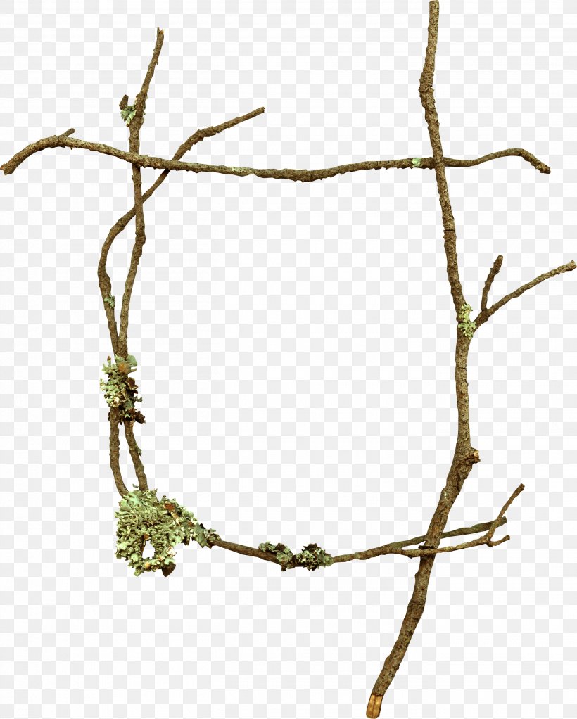 Branch Twig, PNG, 2710x3379px, Branch, Artworks, Photography, Picture Frames, Plant Stem Download Free