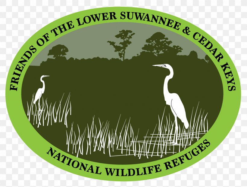 Lower Suwannee National Wildlife Refuge Cedar Keys National Wildlife Refuge Suwannee River Suwannee, Florida, PNG, 2017x1533px, Suwannee River, Big Bend, Brand, Fauna, Fishing Download Free