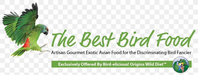 Organic Food Macaw Parrot Bird Food, PNG, 1108x420px, Organic Food, Advertising, Area, Beak, Bird Download Free