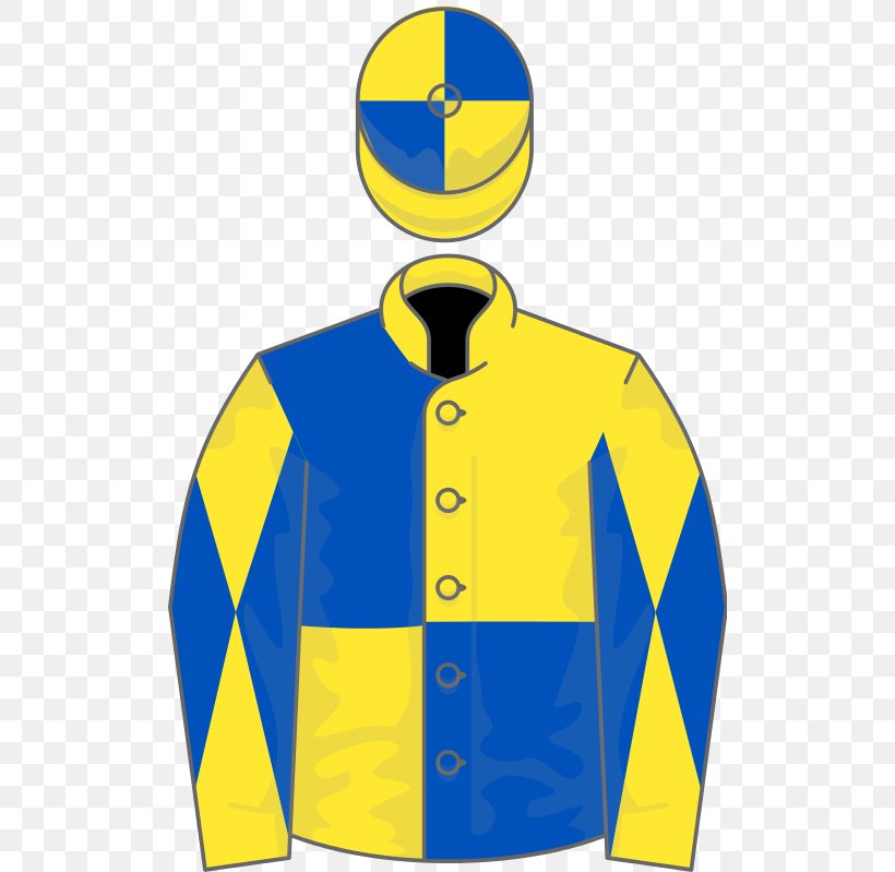 Sleeve Printed T-shirt Clothing Top, PNG, 512x799px, Sleeve, Brand, Clothing, Electric Blue, Horse Racing Download Free
