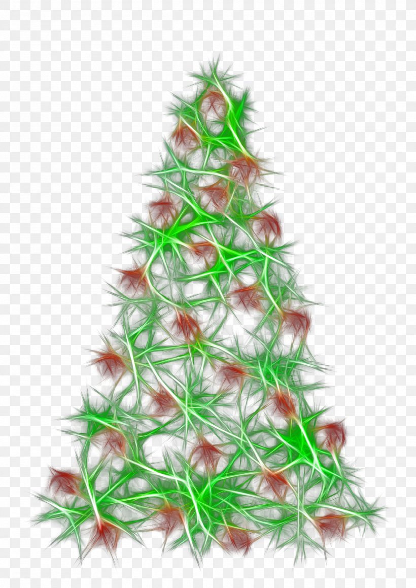 Christmas Tree Christmas Ornament Christmas Decoration, PNG, 1512x2138px, Christmas Tree, Abies Firma, Branch, Christmas, Christmas Decoration Download Free