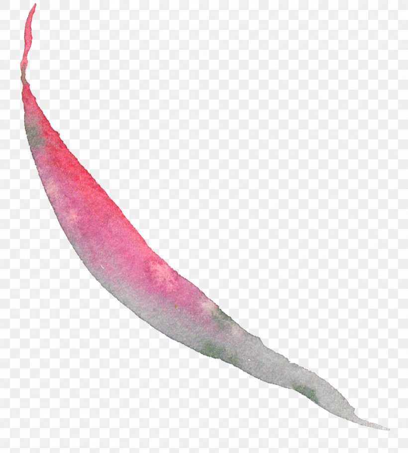 Pink M Fish, PNG, 1037x1152px, Pink M, Fish, Leaf, Pink Download Free