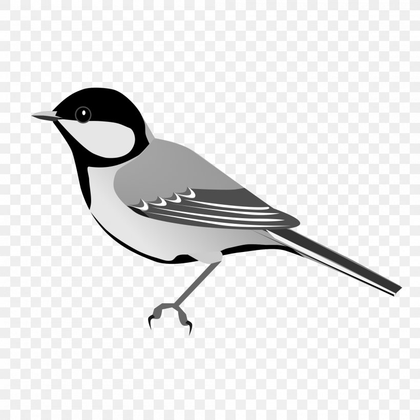 Bird American Sparrows Great Tit White-naped Tit Beak, PNG, 2000x2000px, Bird, American Sparrows, Beak, Bird Nest, Black And White Download Free