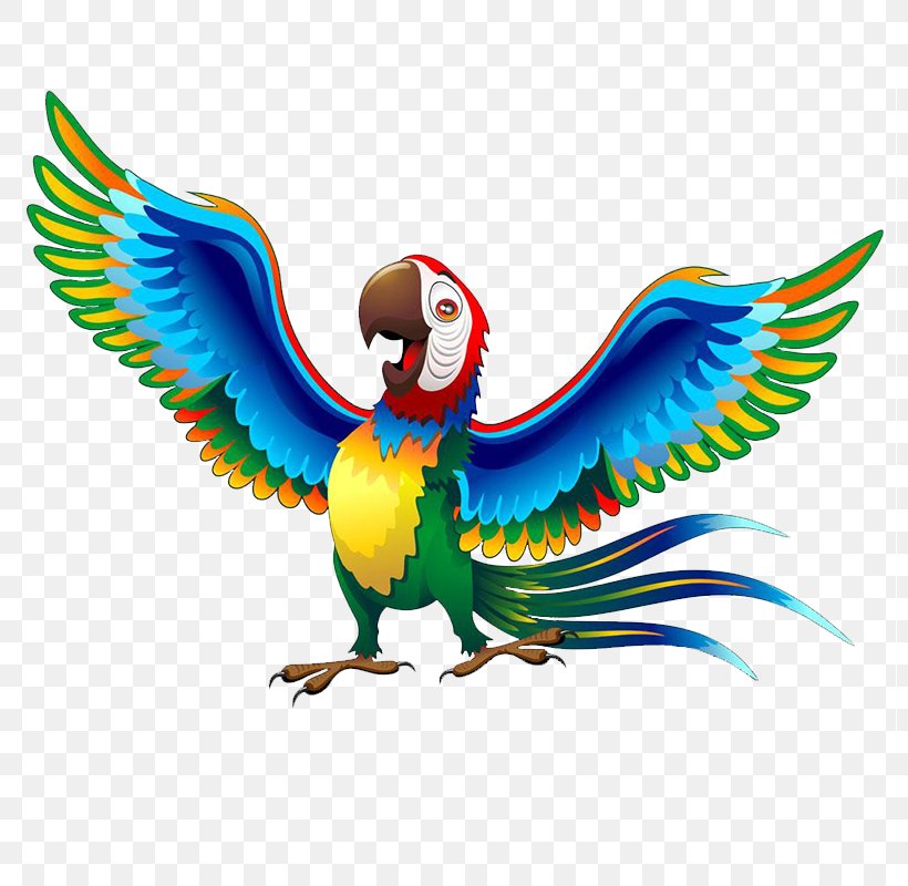Bird Macaw Clip Art Drawing, PNG, 800x800px, Bird, Animal Figure, Animation, Beak, Budgie Download Free