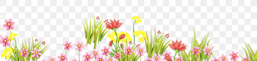 Floral Spring Flowers, PNG, 3000x718px, Tulip, Computer, Cut Flowers, Floral Design, Flower Download Free