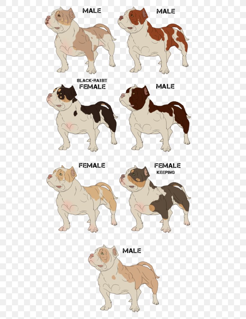 Dog Breed Companion Dog Non-sporting Group Puppy, PNG, 749x1066px, Dog Breed, Animal, Animal Figure, Breed, Carnivoran Download Free
