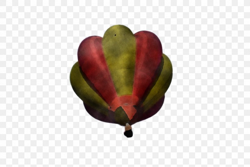 Hot Air Balloon, PNG, 2448x1636px, Leaf, Bud, Flower, Heart, Hot Air Balloon Download Free
