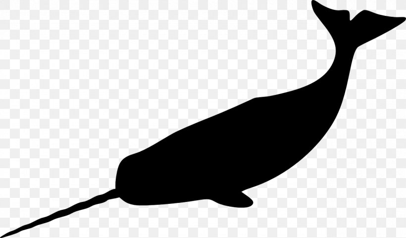 Narwhal Cetacea Walrus Clip Art, PNG, 1280x752px, Narwhal, Beak, Black And White, Carnivoran, Cat Download Free