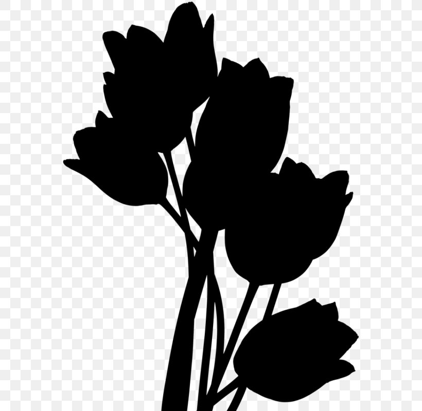 Tulip Flower Retour: Luc Verlains Erster Fall Petal, PNG, 635x800px, Tulip, Blackandwhite, Botany, Branch, Flower Download Free